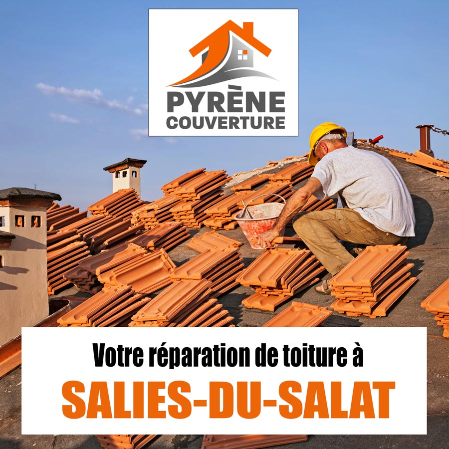 Réparation de toiture et Salies-du-Salat